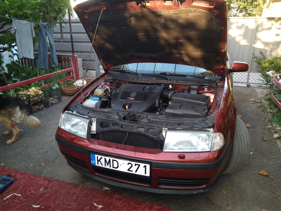Лінзі 3.0 + Ангельські очі… 1
