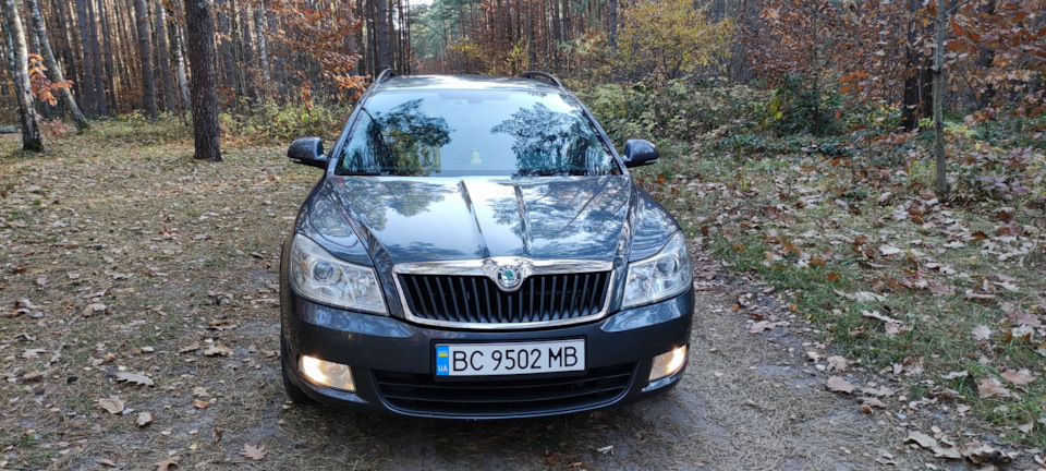 Покупка авто 3