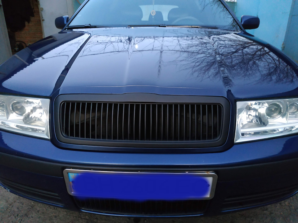 Грати від superskoda 4