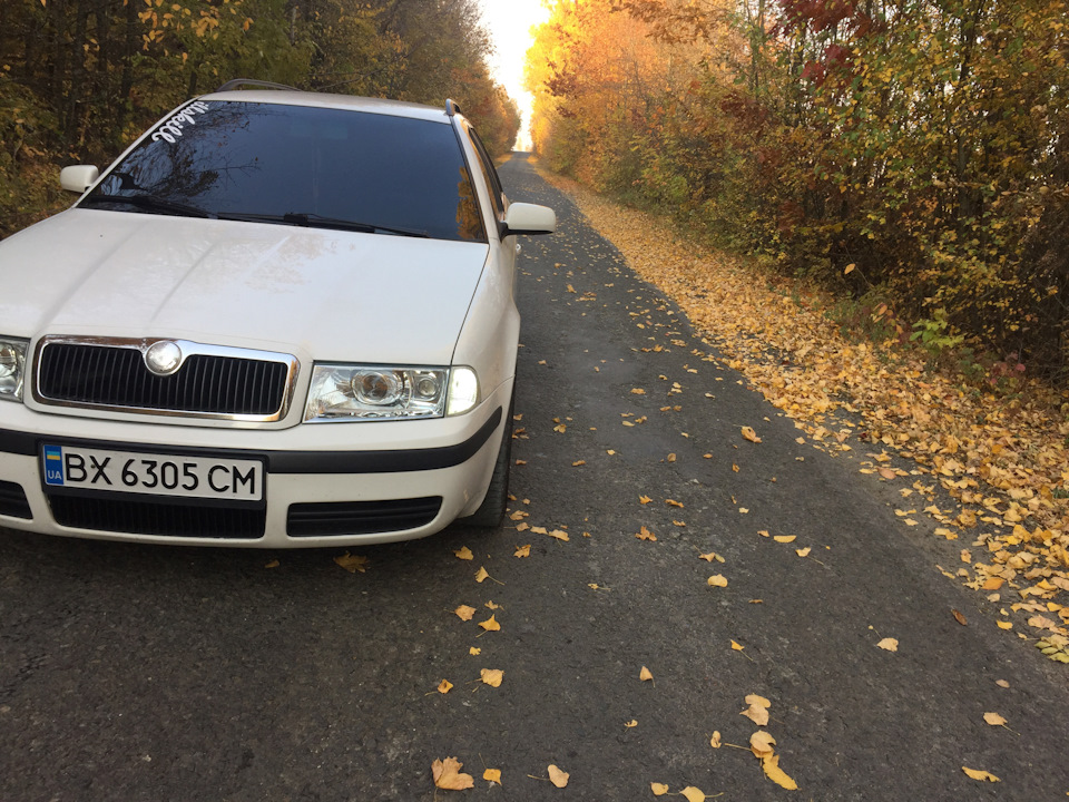 Осінь, Турик;) 5