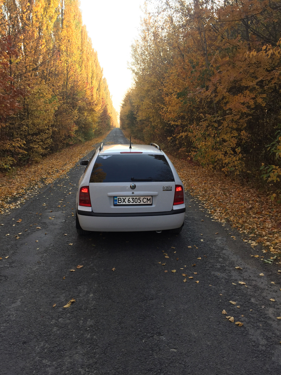 Осінь, Турик;) 4