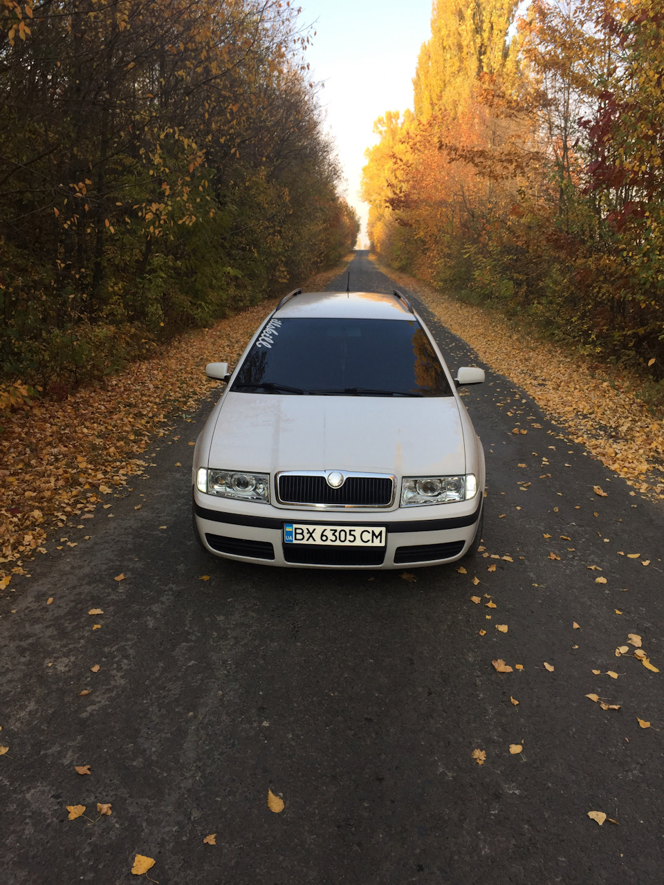 Осінь, Турик;) 1