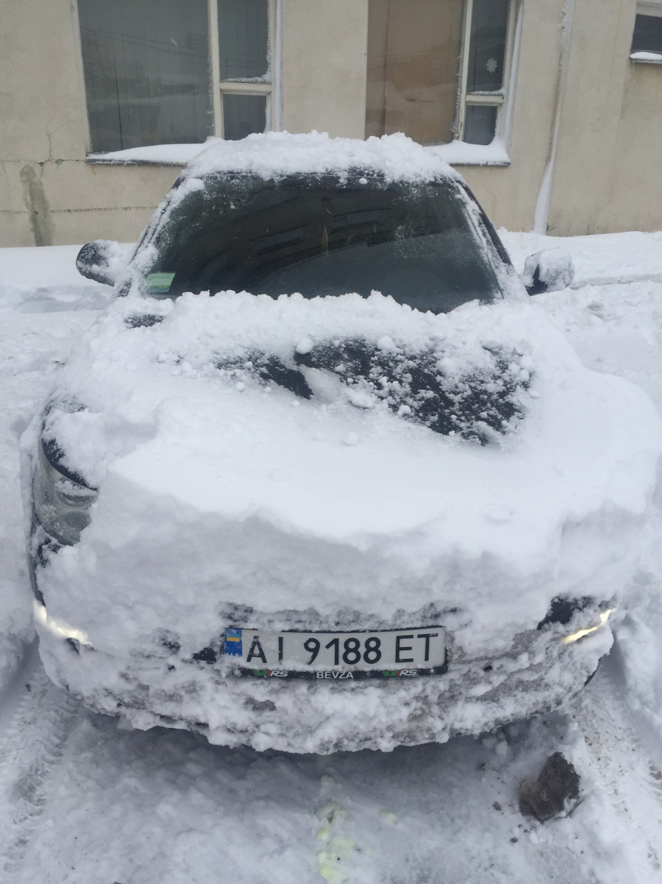 Пригрійте коня, адже він у продажу 1