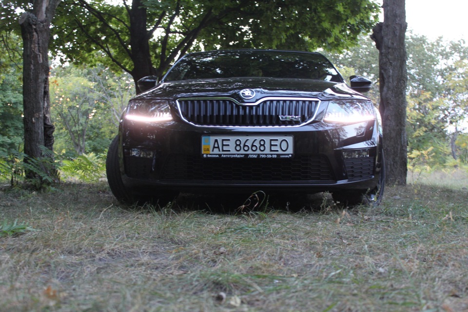 Не велика фотосесія 4