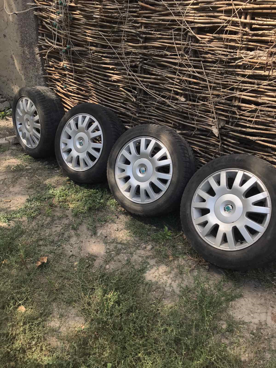 Зимова історія влітку... 1