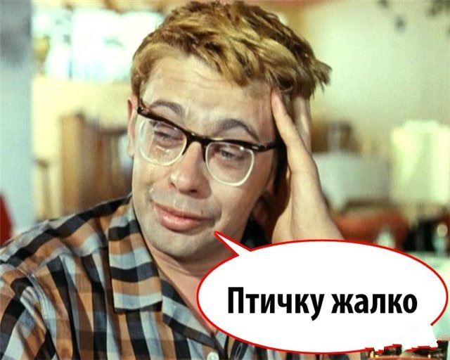 Пташка Жалко… 1