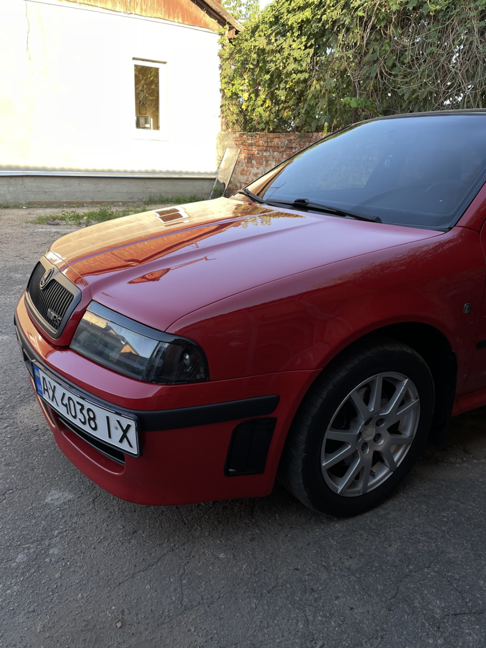 Зябра milotec 3