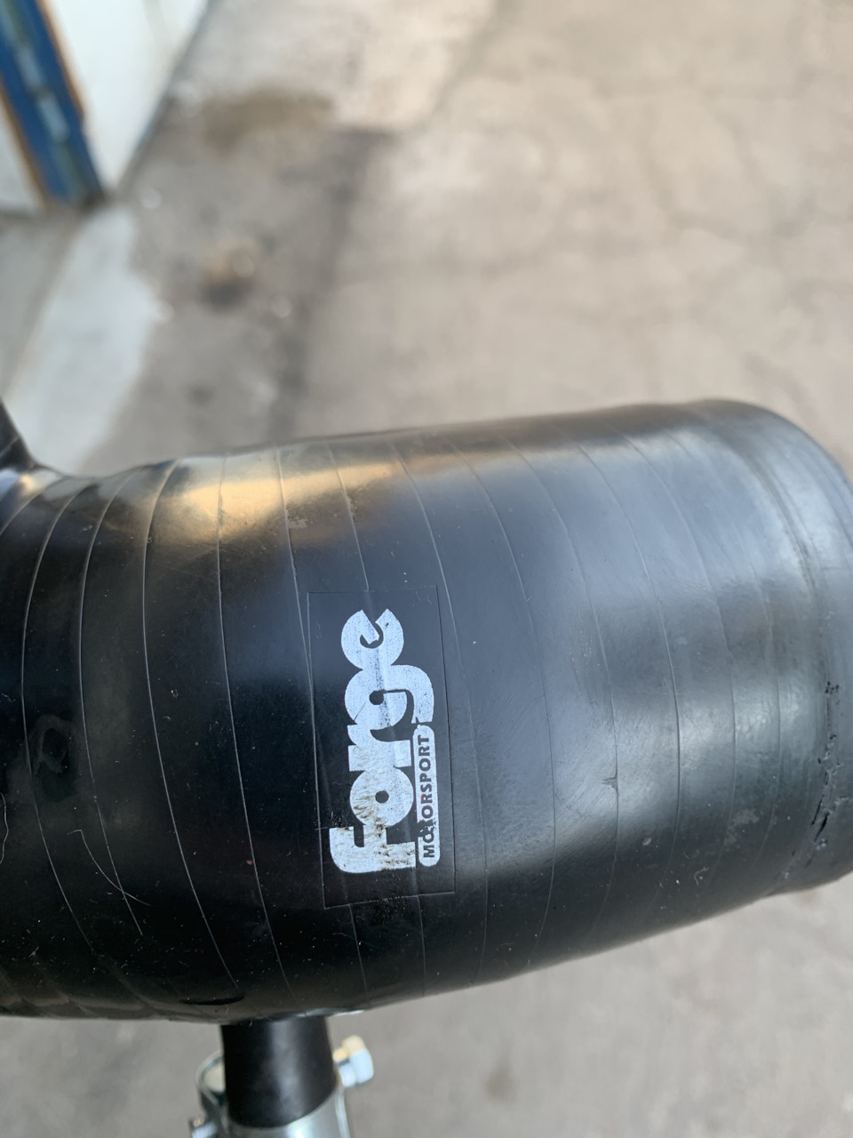 Корова Forge 5