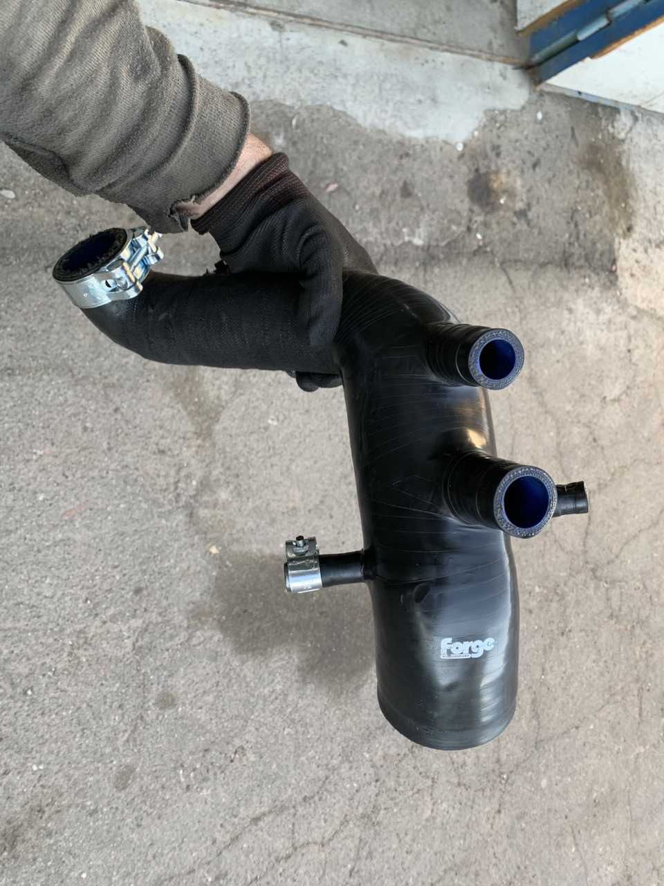 Корова Forge 4