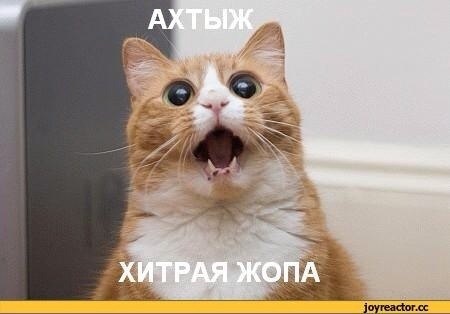 Маленькими кроками на зустріч великої мети! 2
