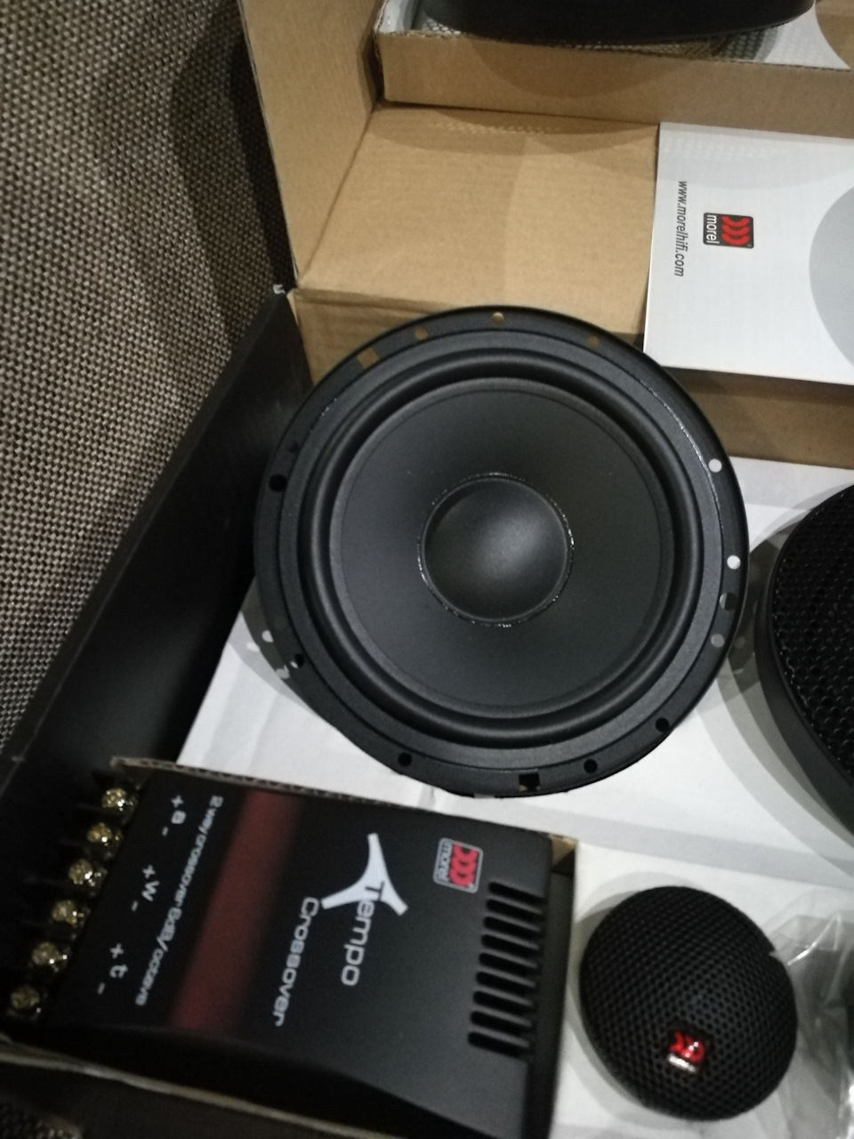 Morel Tempo 6 1
