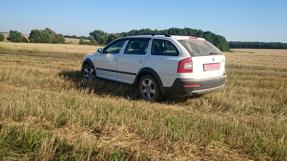 Проїжджаючи повз поле 3
