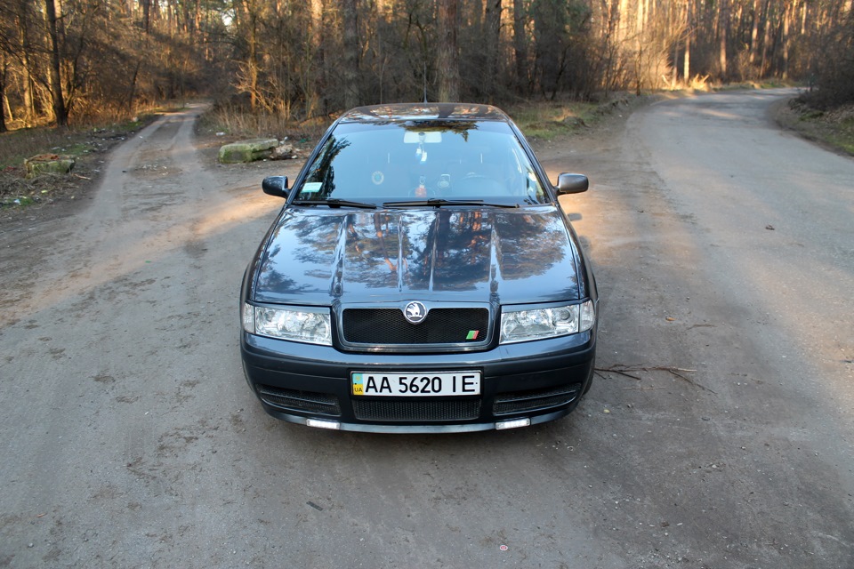 Баян (вії) 2