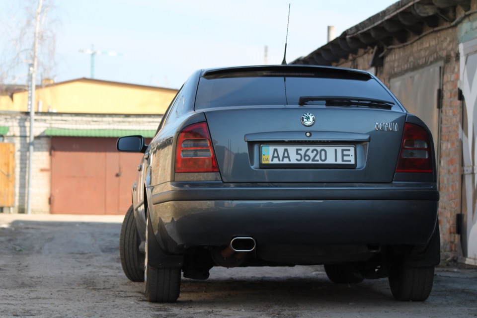 фотографія 5