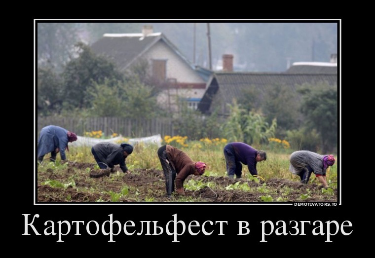 Правильно провів вихідні на дачі 1