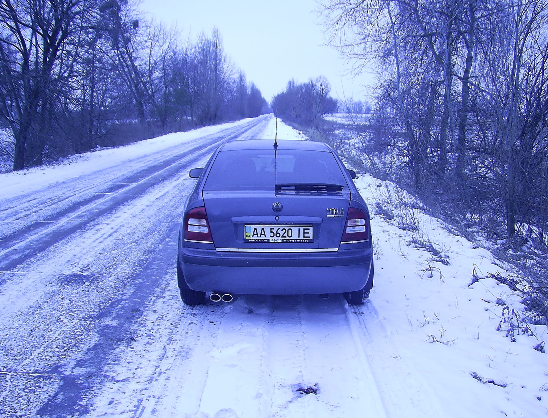 Тонування ліхтарів 4