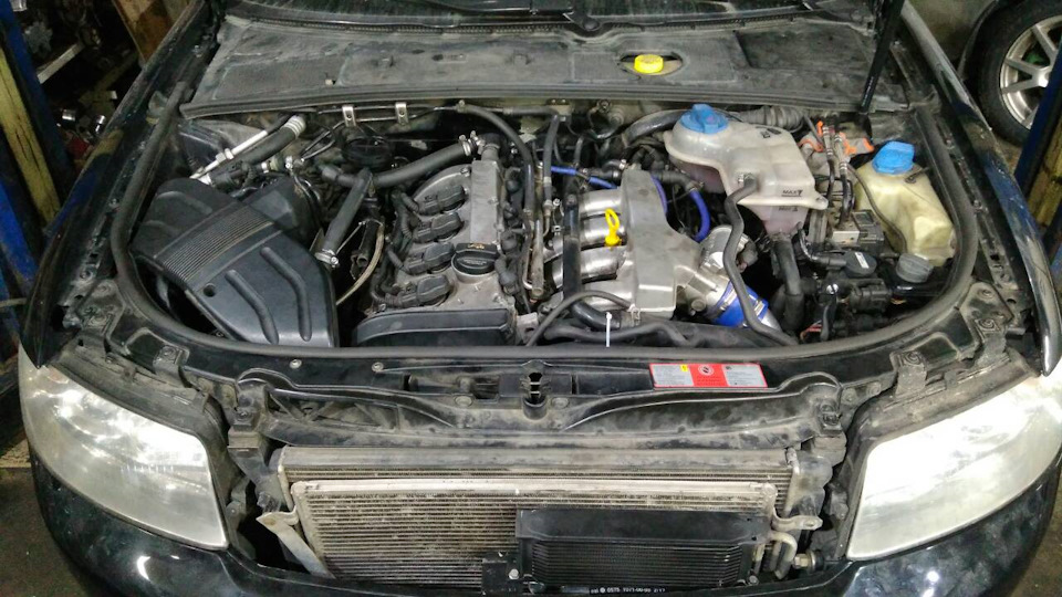 Quattro a4 2.0t stroker + tsi pump+oil cooler 1