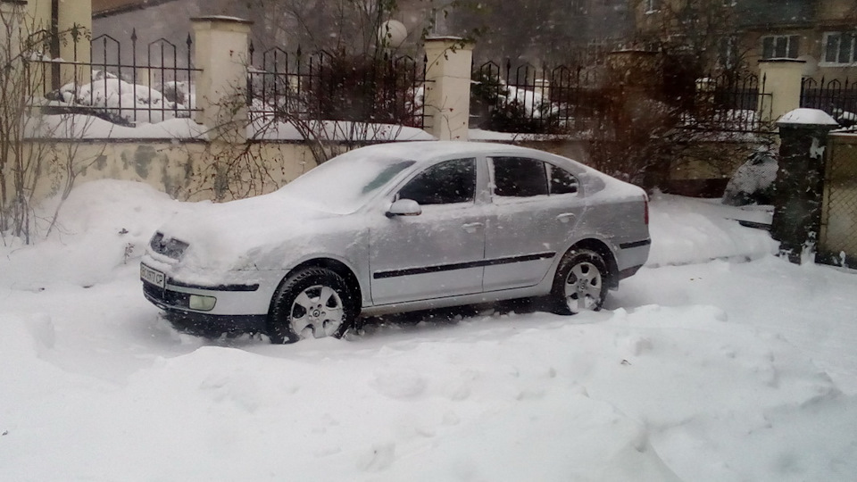 Перша зустріч, покупка та перший сніг…) 2