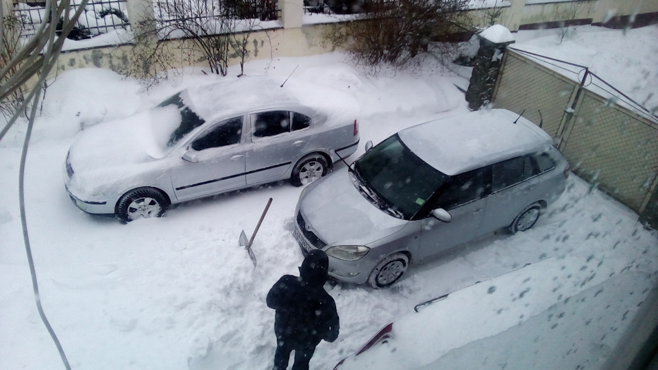 Перша зустріч, покупка та перший сніг…) 3