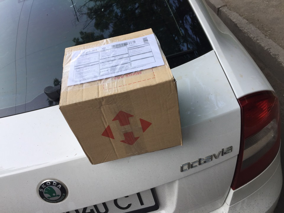 Eibach! 1