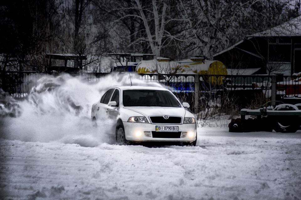 Перший сніг (він же перший фотосейшен) 1