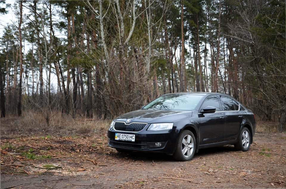 Кілька свіжих фотокарток 1