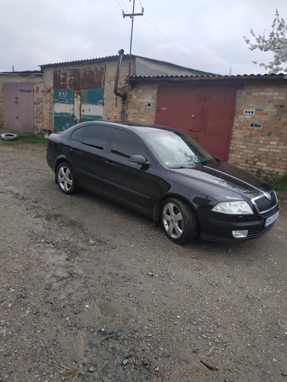 Тоніровка 5