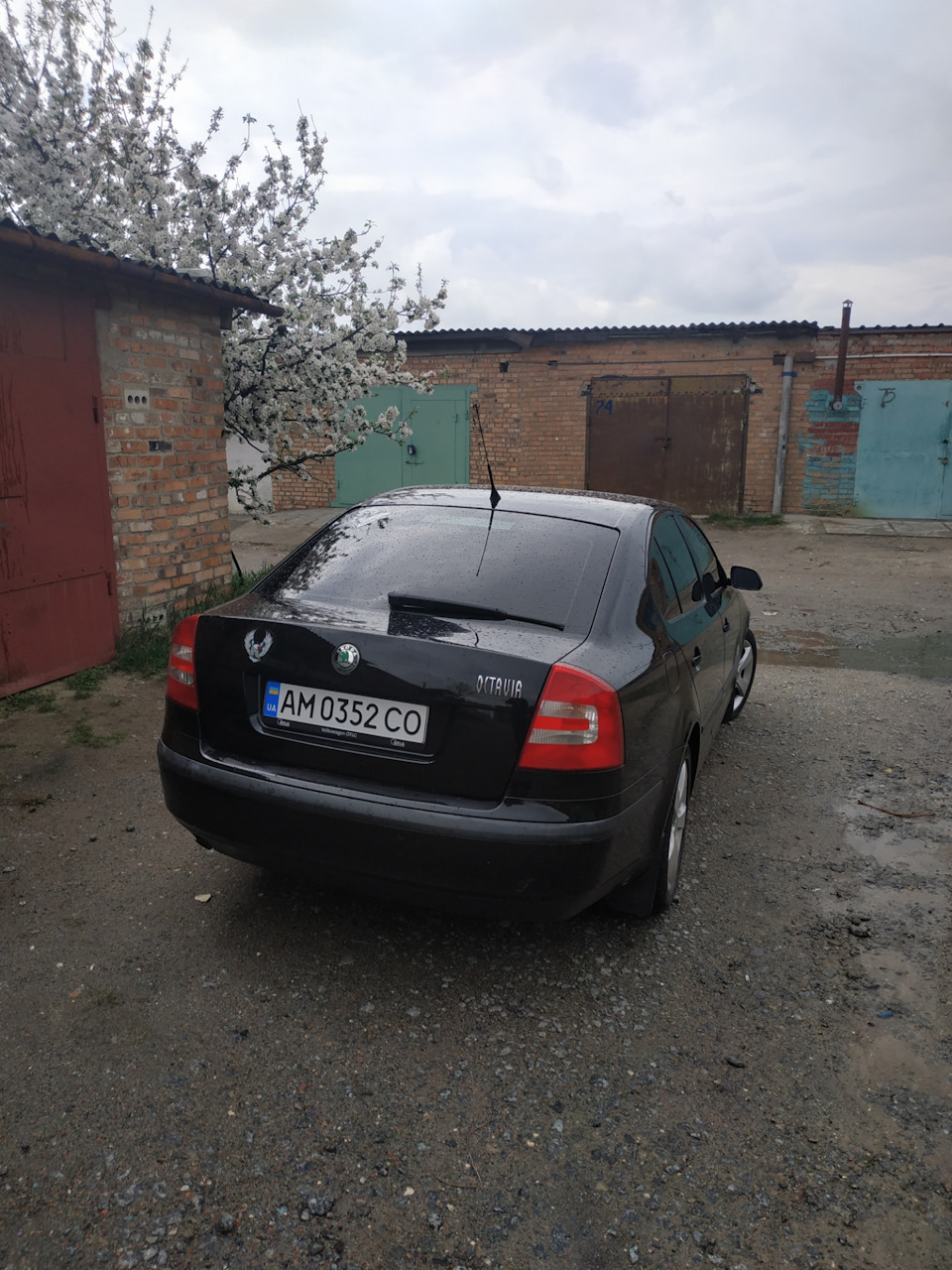 Тоніровка 3