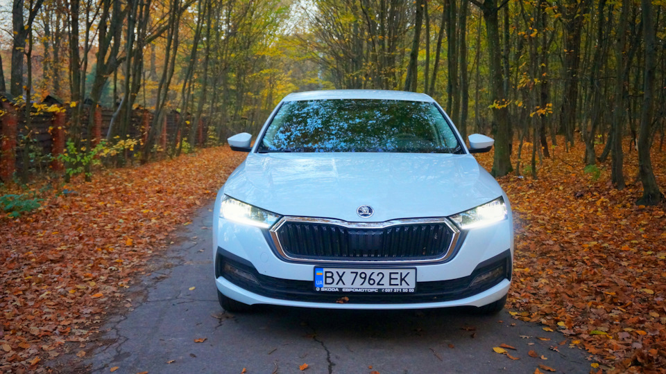 Skoda octavia a8 осінь і octavia a8 2