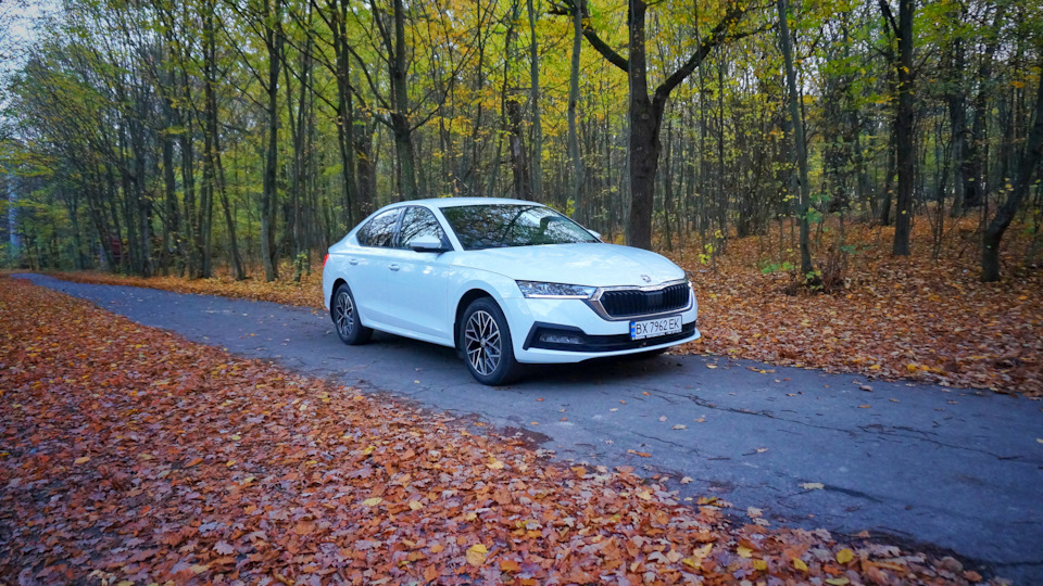 Skoda octavia a8 осінь і octavia a8 5