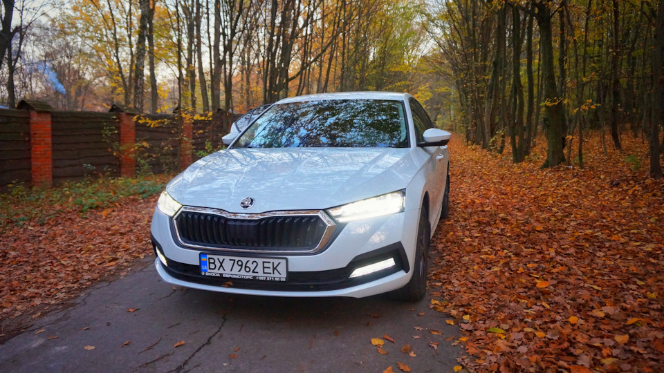 Skoda octavia a8 осінь і octavia a8 4