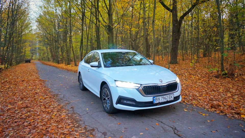 Skoda octavia a8 осінь і octavia a8 3