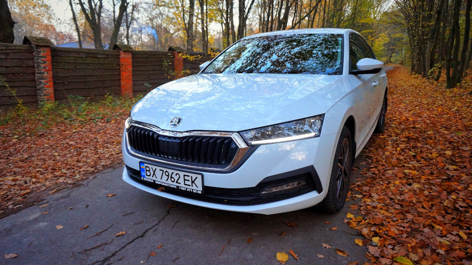 Skoda octavia a8 осінь і octavia a8 1