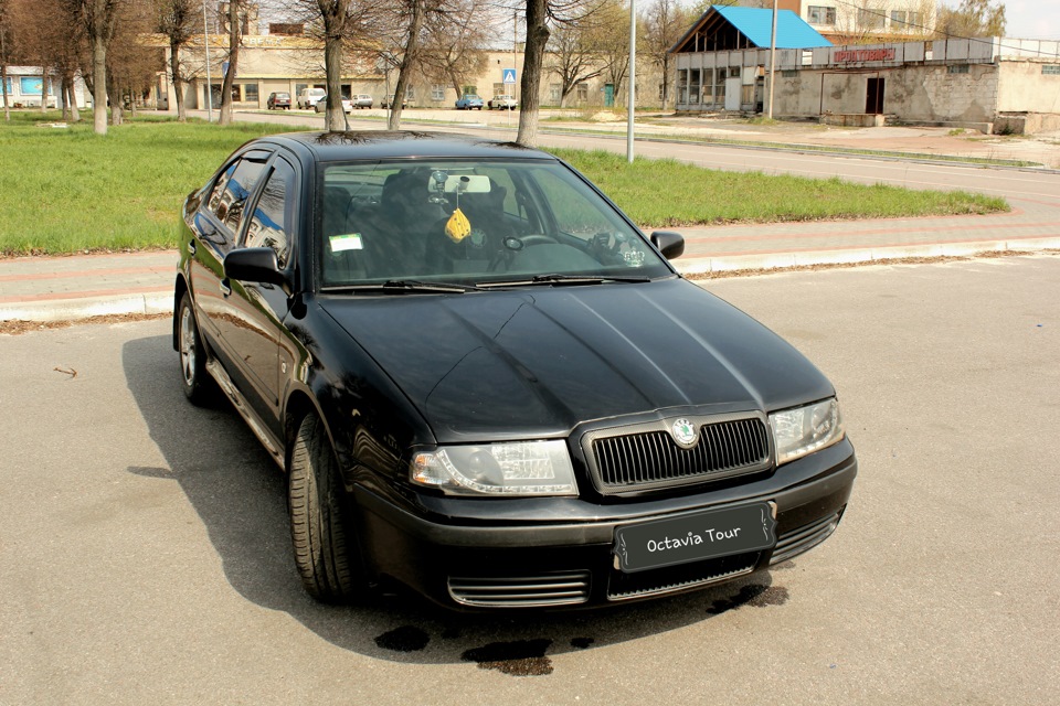 Прощай Таксотурік! (ПРОДАНО) 2