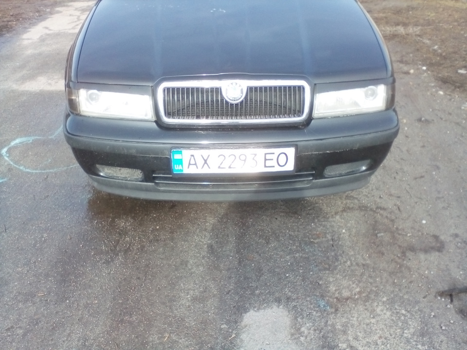 Ez-lip або гумова губа на обидва бампери Octavia 4