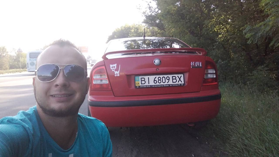 Продаж Кішки 3
