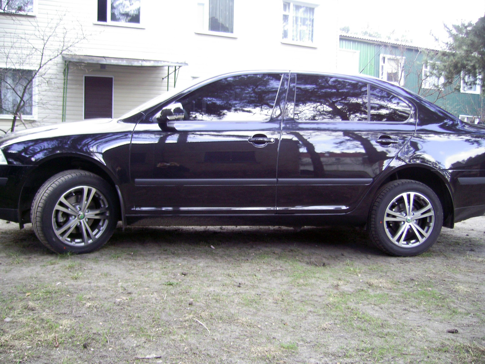 Забрав дики 3