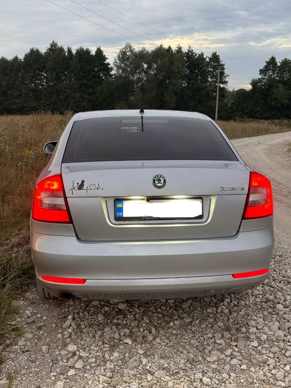 світлодіодна coub стрічка в катафоти skoda octavia а5 2