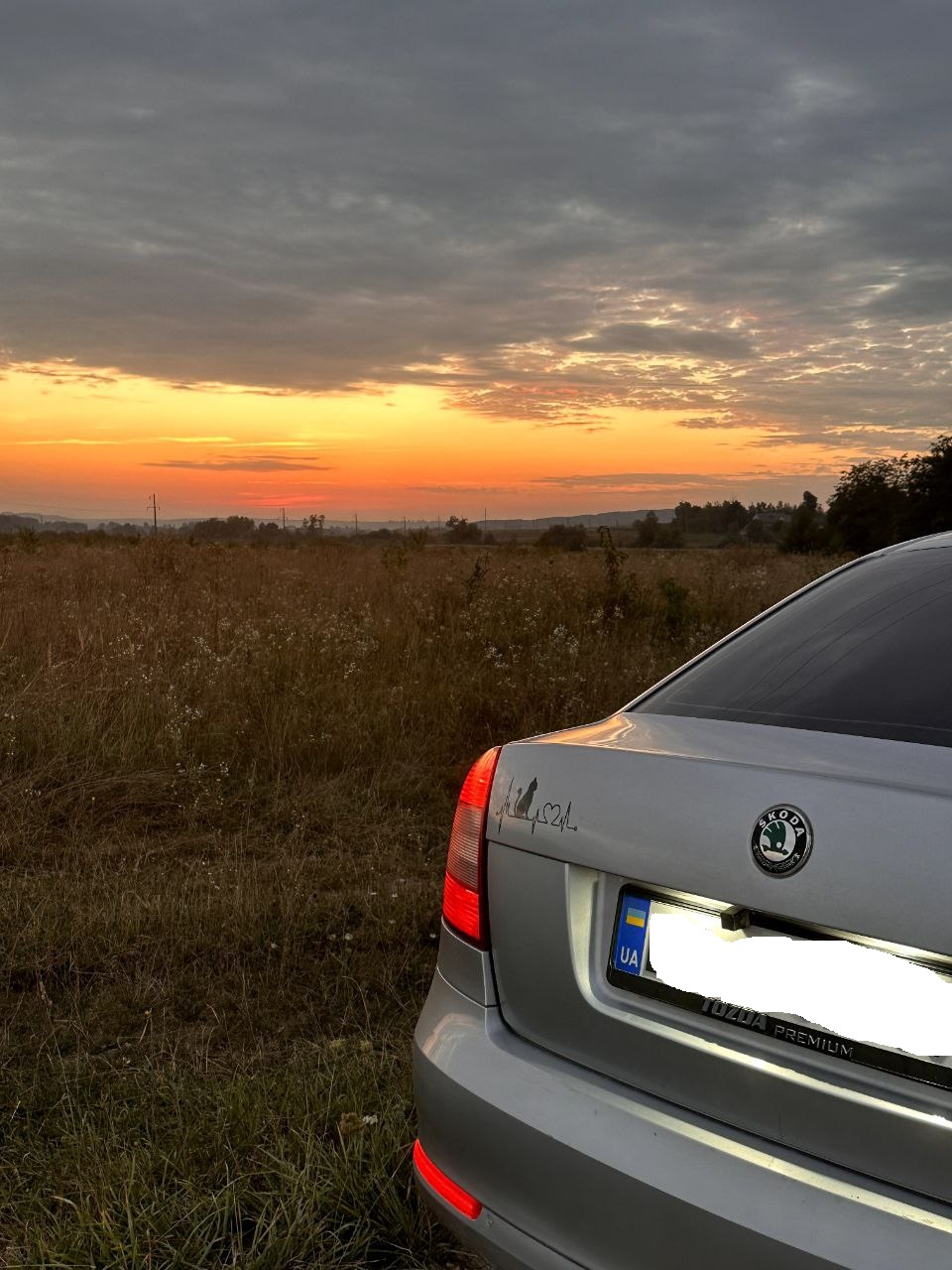 світлодіодна coub стрічка в катафоти skoda octavia а5 3