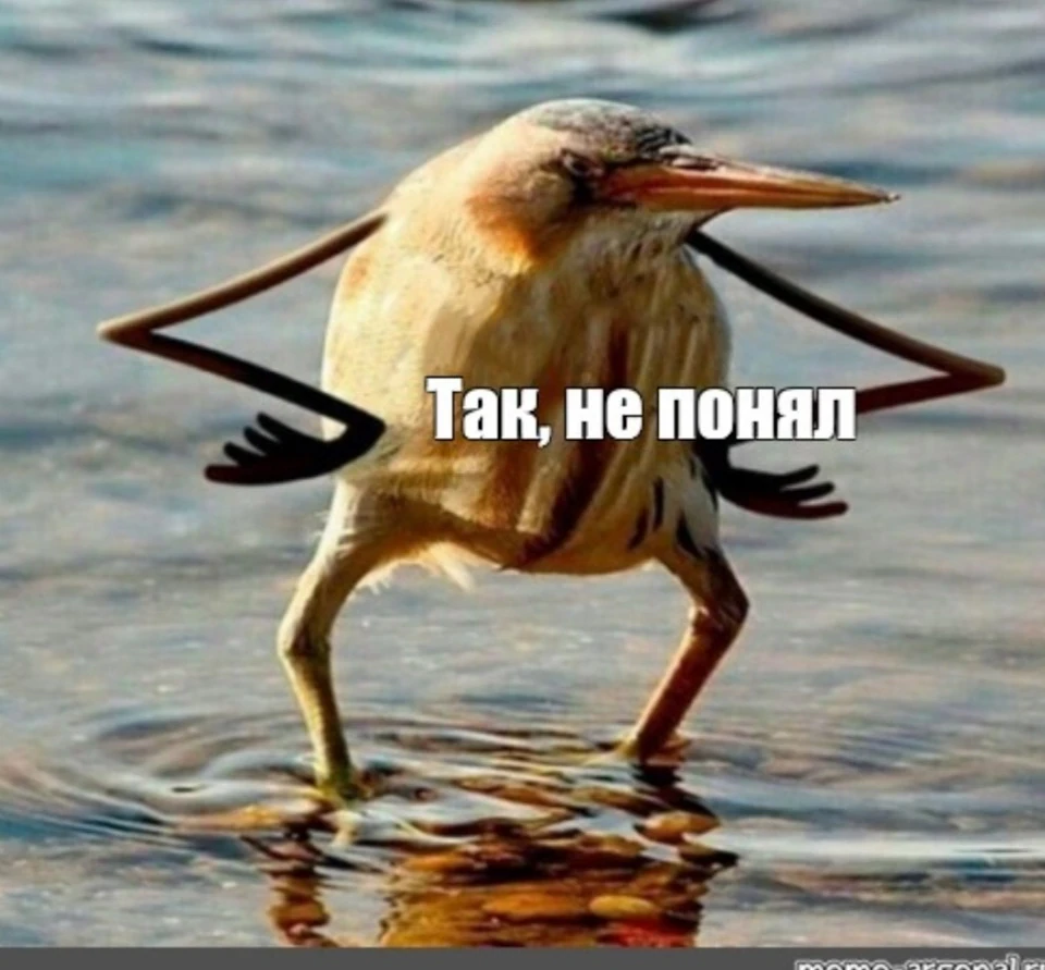 Вийшов вранці на балкон:)