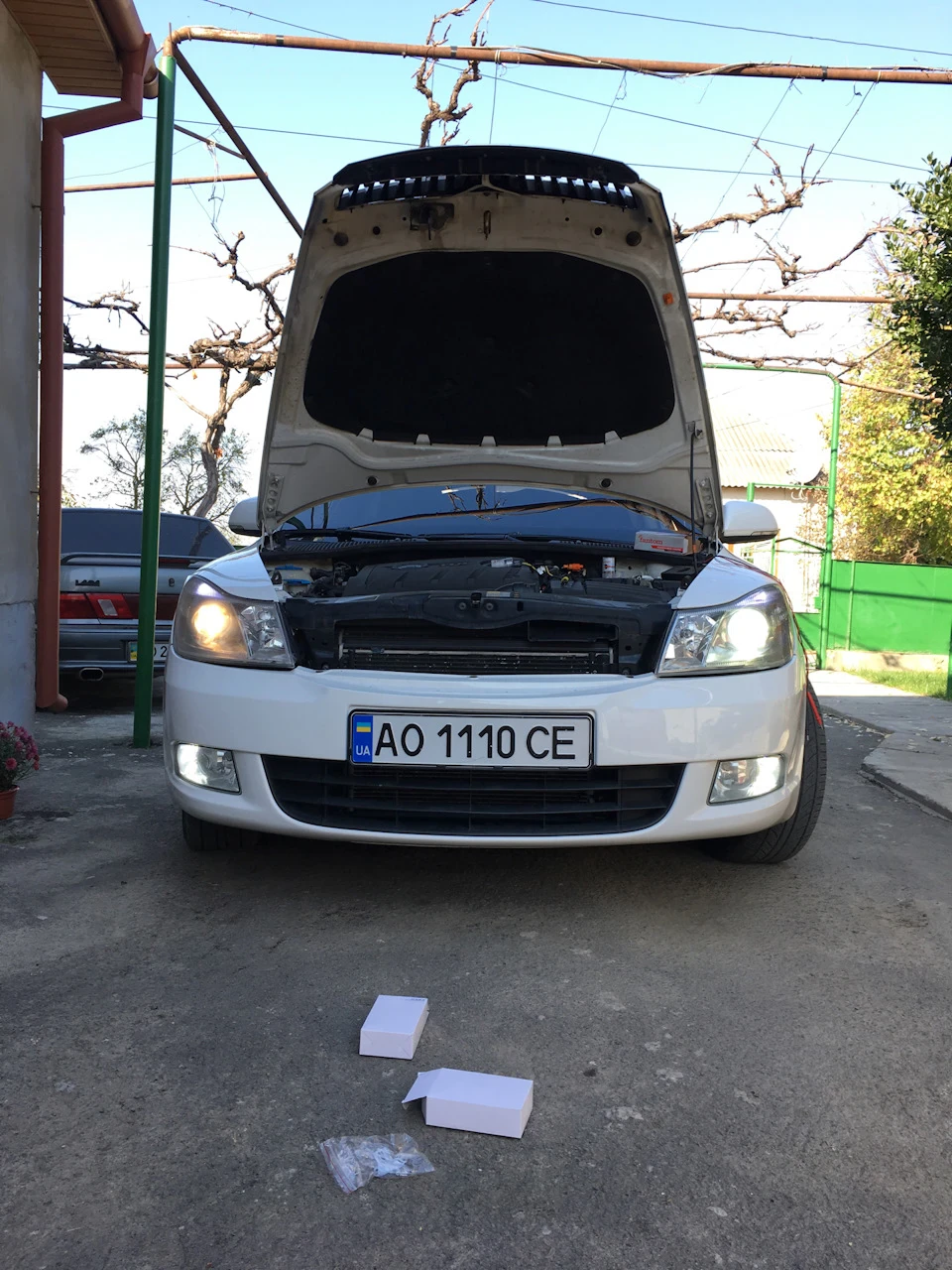 XENON