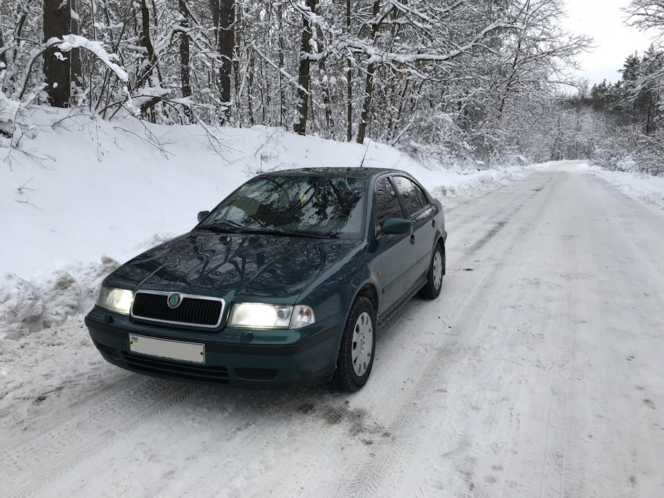 По дорозі на дачу або Спонтанний міні-фотосет . . . 3