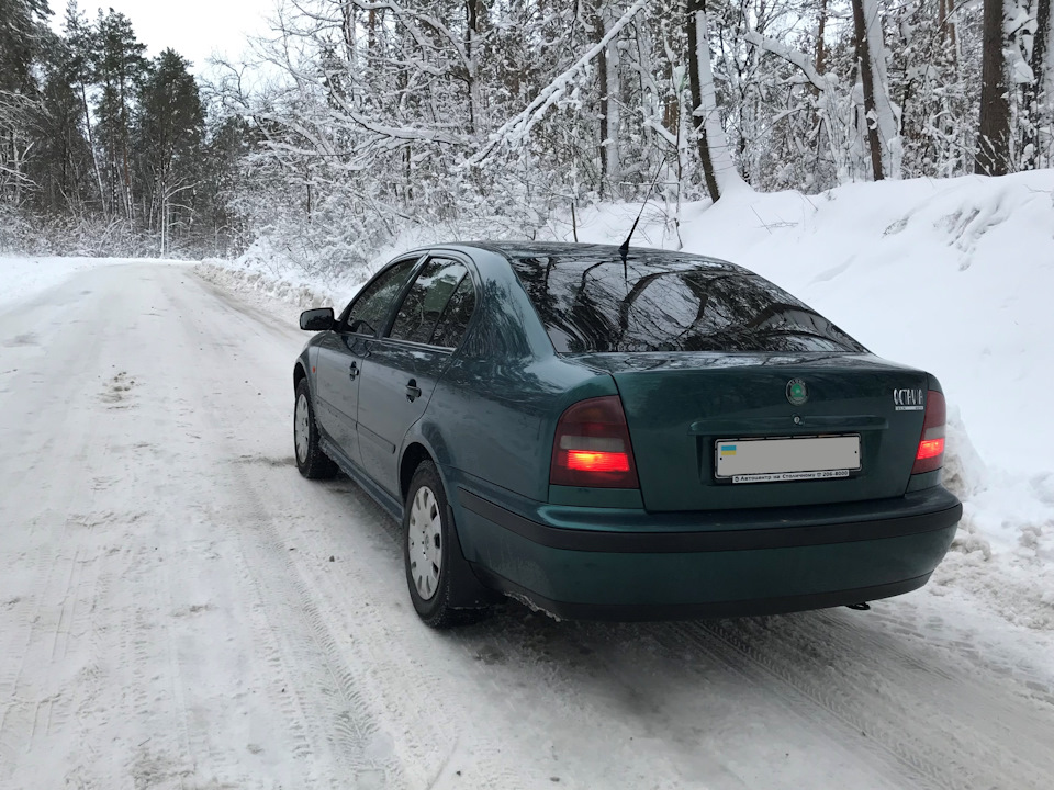 По дорозі на дачу або Спонтанний міні-фотосет . . . 4