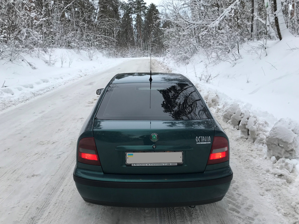 По дорозі на дачу або Спонтанний міні-фотосет . . . 5