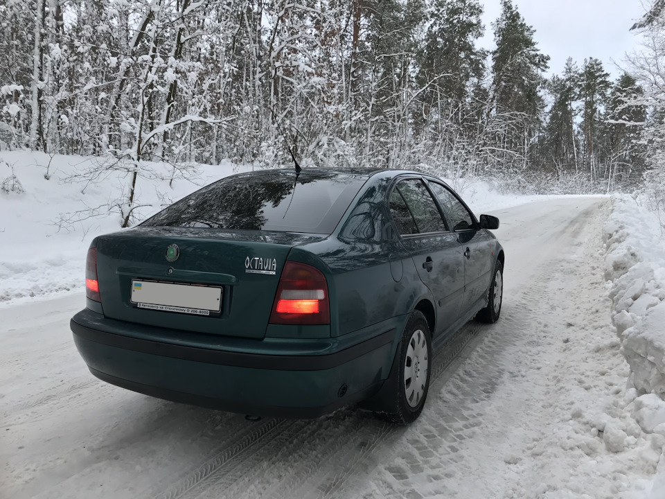 По дорозі на дачу або Спонтанний міні-фотосет . . . 2