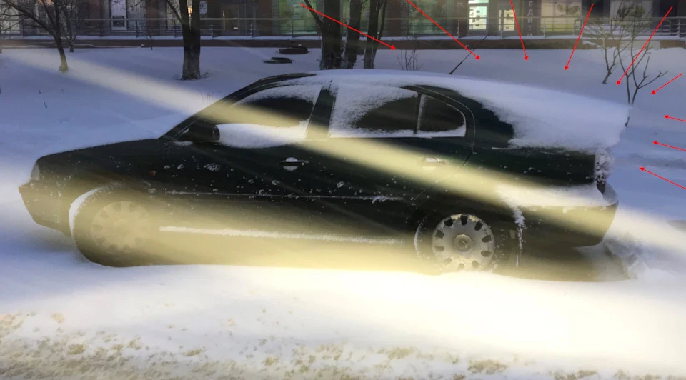 Природа диктує свій дизайн. Skoda Octavia від Natural DeSigN