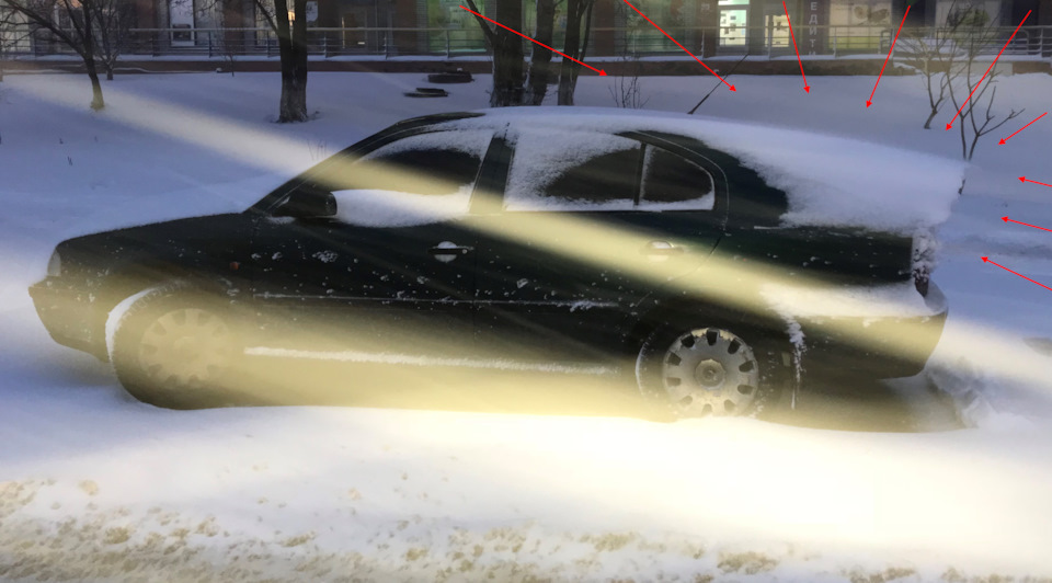 Природа диктує свій дизайн. Skoda Octavia від Natural DeSigN 1