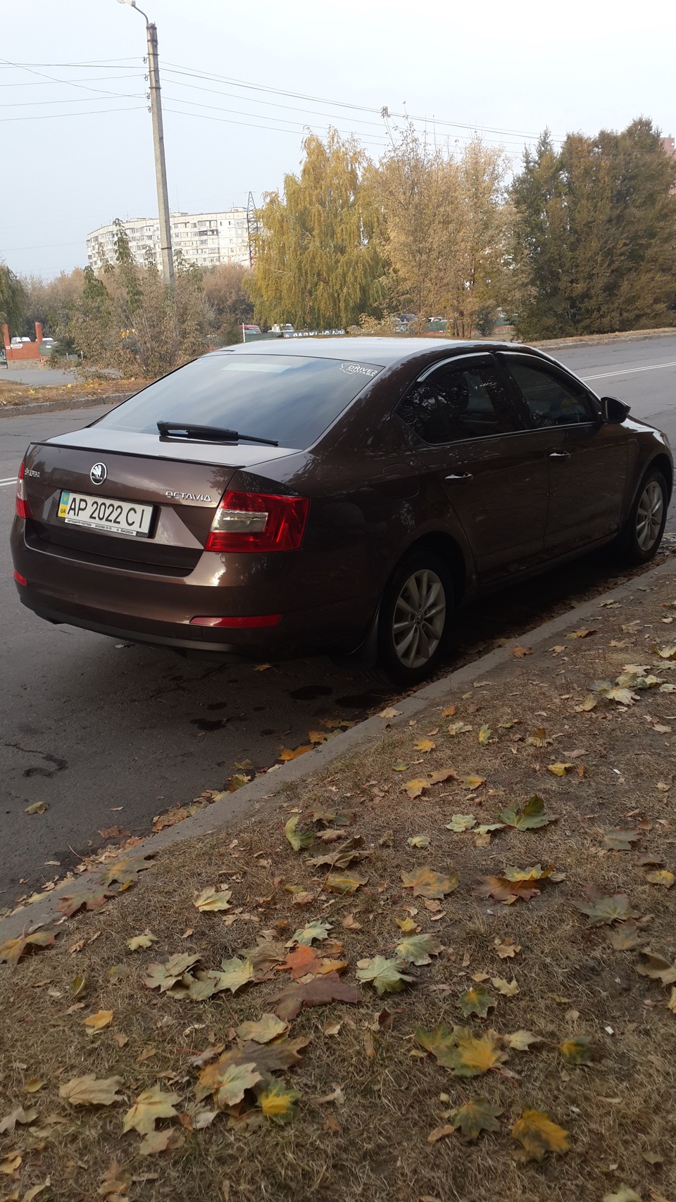 Нам два роки, ювілейчик... ;) 3
