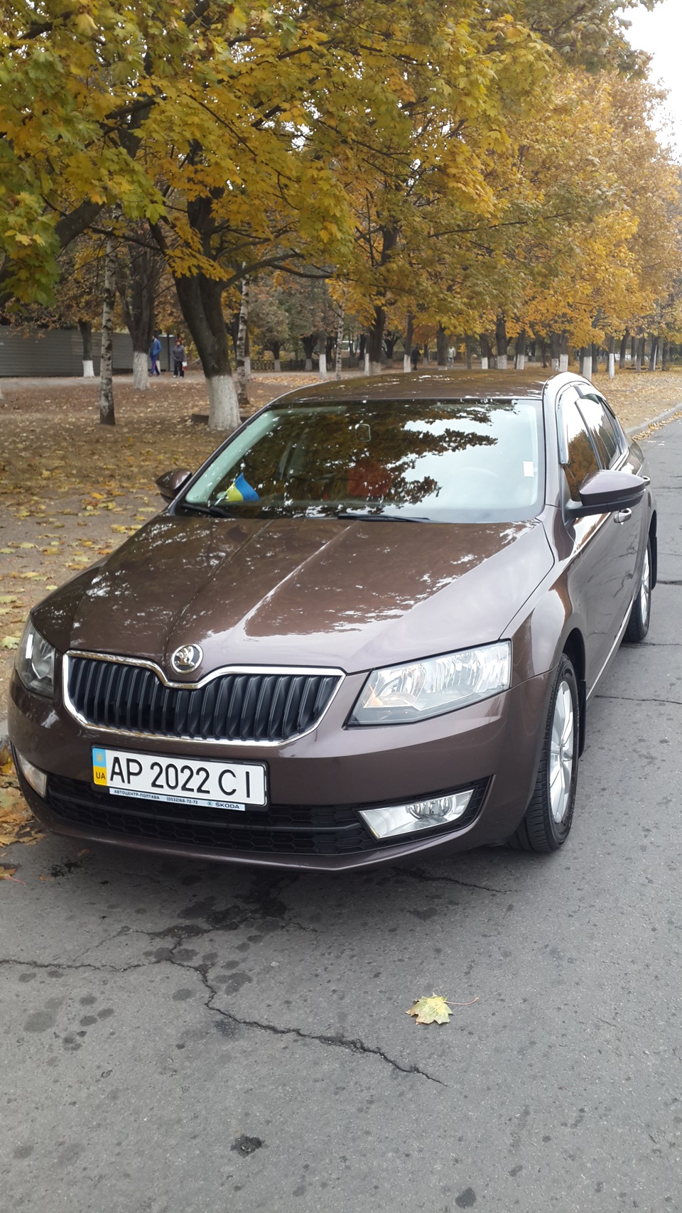 Нам два роки, ювілейчик... ;) 1