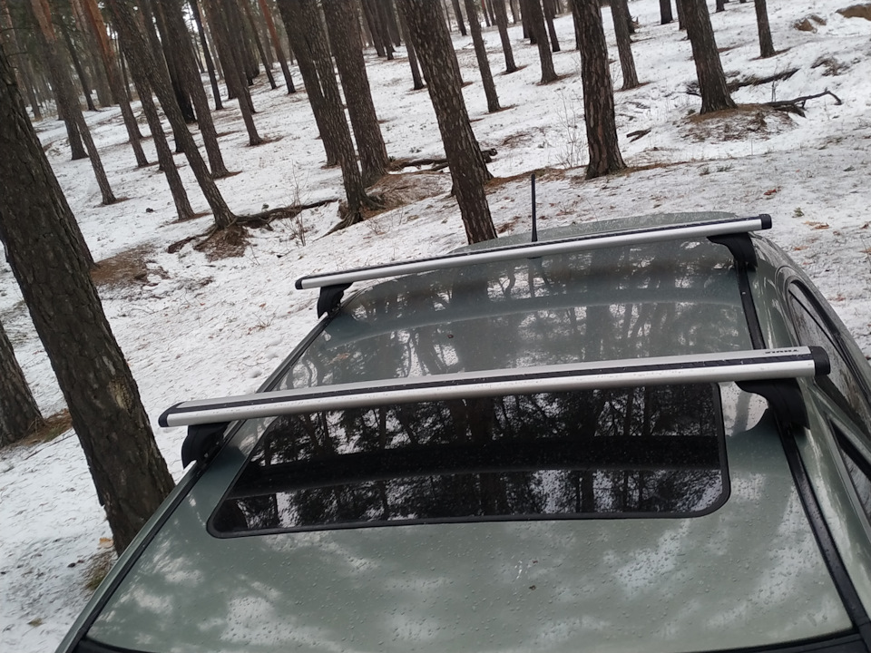 Поперечки Thule WingBar 960 3